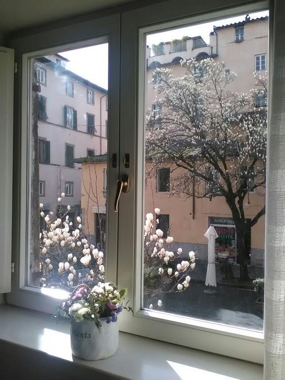 Suite Sofia Lucca Exteriér fotografie